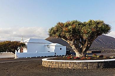 《逆转检察官1&2 御剑精选集》新介绍短片：逻辑象棋